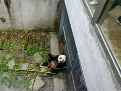 -黔灵山公园