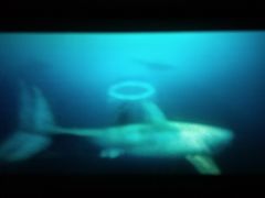 -星河国际影城(新会店)