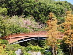 -云溪植物园