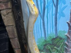 -石家庄市动物园