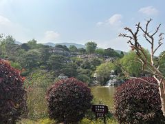 -北京西山国家森林公园