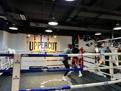 -Uppercut拳馆·Boxing拳击·Muay Thai泰拳