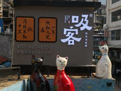 -猫咪博物馆(顶澳仔猫街店)