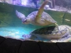 -多彩贵州城极地海洋世界