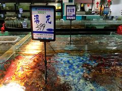 -森谷美食公园(杨行店)