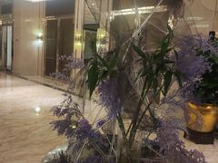 -天津津利华酒店