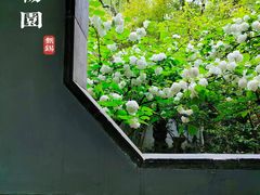 -惠山古镇·寄畅园