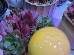 -花鸟鱼虫鲜花绿植市场(玉泉路店)