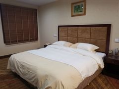 -金水鹤温泉国际酒店