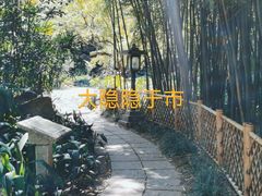 -广州兰圃