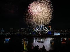 -台场海滨公园船码头