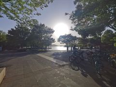 -东湖落雁景区