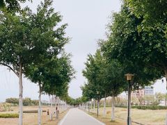 -广东花都湖国家湿地公园