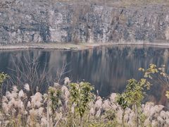 -南山植物园