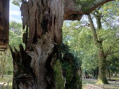 -共和国摇篮旅游区-红井景区