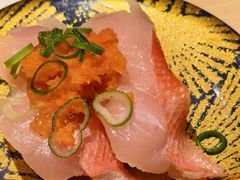 -大起水产回转寿司(道顿堀店)