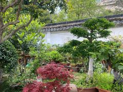 -凤凰寺