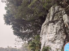 -星湖旅游景区七星岩