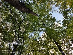 -神农架香溪源景区