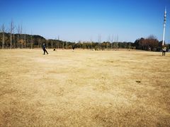 -鲜力达果品批发直销(无锡保利香槟店)