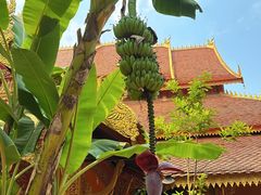 -西双版纳傣族园