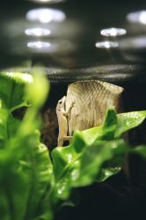 -酷嗒动物文化乐园(cutezoo西溪乐天城店)