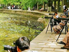 -四川大学(华西校区)