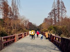 -上海滨江森林公园