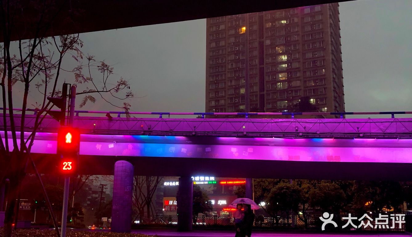 重庆森林2