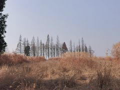 -良渚古城遗址公园