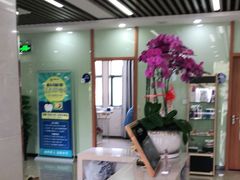 -茂菊口腔连锁(浦东南路店)