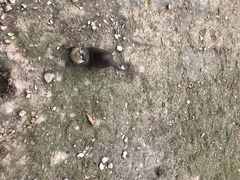 -黄龙溪欢乐田园