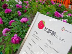 -太阳宫公园