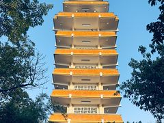 -鹅岭公园瞰胜楼