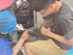 -宠福鑫康馨动物医院·骨科·眼科