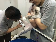 -PETKIT 小佩宠物·低压洗护·美容·寄养(安远店)