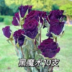 -小梨·OndaPro·专业脱毛连锁机构