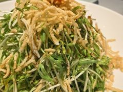 空心菜苗-打酱油·非遗淮扬菜(瘦西湖梅岭店)