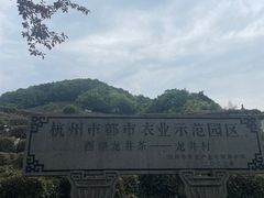 -龙井村