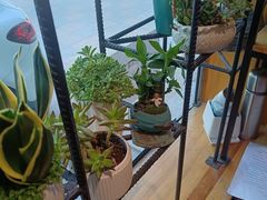 -爱尚幸福鲜花(上地实体店)