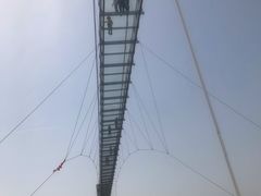 -武汉紫薇都市田园