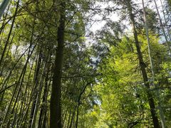 -重庆雨台山风景区