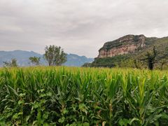 -北京上方山国家森林公园