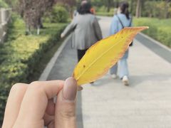 -迎泽公园