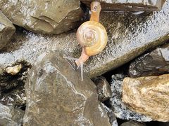 -小南海站