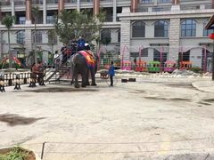 -灵玲国际马戏城