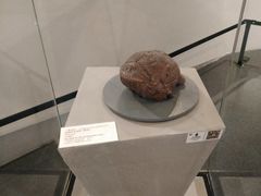 -北京周口店北京人遗址博物馆