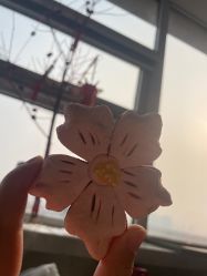 -天使医生月子中心(福佑店)