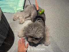 -E+有冰工厂·昆仑寒宫2(五角场店)