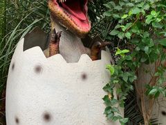 -呀路古热带植物园